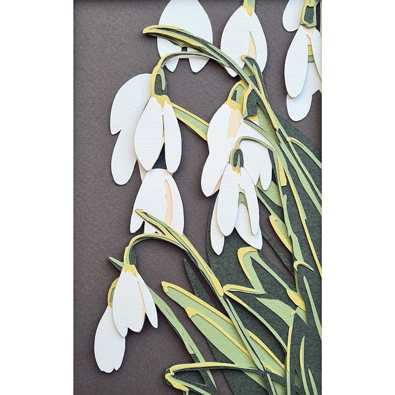 Snowdrops